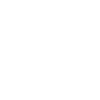 98138729's emblem