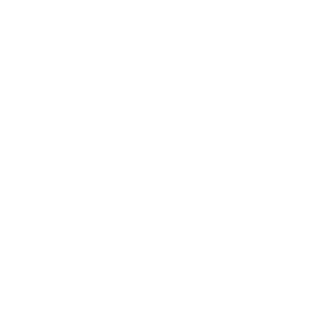 BlitzKKrige's emblem
