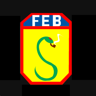 Forca Exp Brasileira's emblem