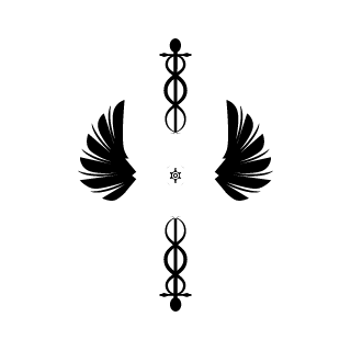 ThyFieryRobin's emblem
