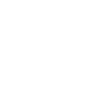 birgo_bongo's emblem