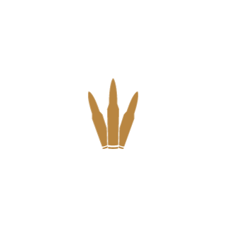 613fe05faac91ad26ac4abdbd43e6f01's emblem