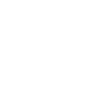 NullRefference's emblem
