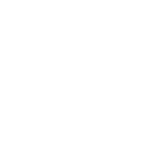 daiso_Mk1's emblem