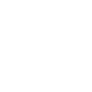 l Viiper l's emblem