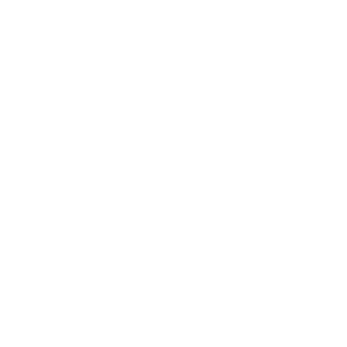 TIF-Cyson's emblem