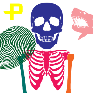 DjangoCR's emblem