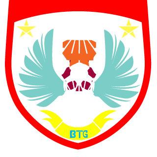 Battle Tactic Gamers's emblem