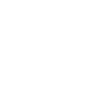 007bsc's emblem