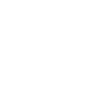 -501st-Khadafy's emblem
