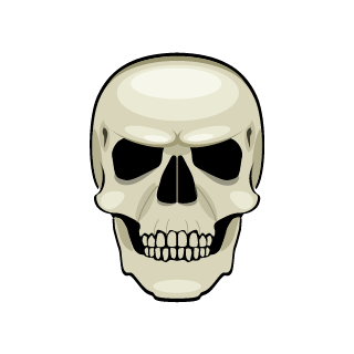 Mr_R4VEN's emblem