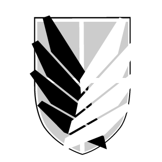 RansTheMan's emblem