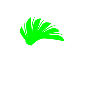 AccusedRook's emblem