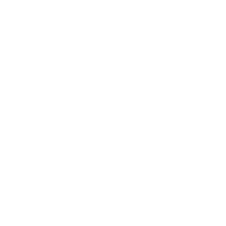 ff1ff1's emblem