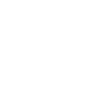 TheMasterOfDk's emblem