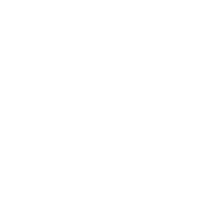 RYE-MUG1's emblem