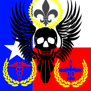 TEXANS's emblem