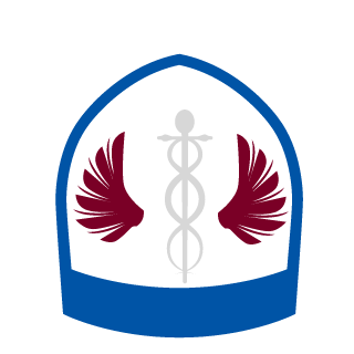 daiXkaiju's emblem