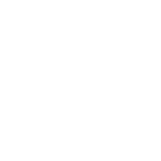 28499878's emblem