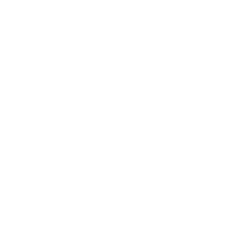 Zephyr1811's emblem
