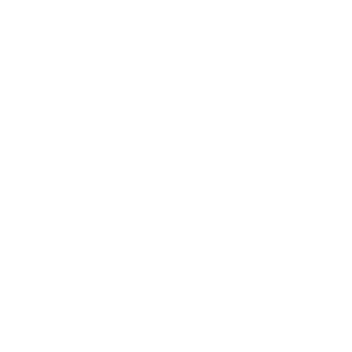 BY2500's emblem