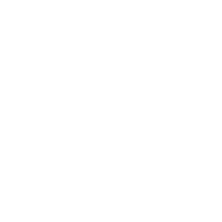 9staar's emblem