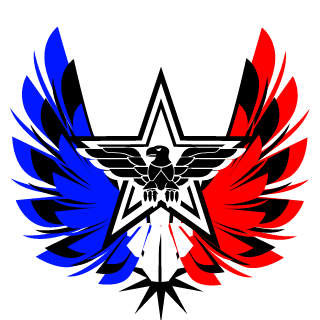 lI_KRiTiK_Il's emblem