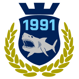 DK1991LA's emblem