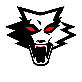 QSKIYF's emblem