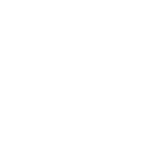 2_Pac_II's emblem