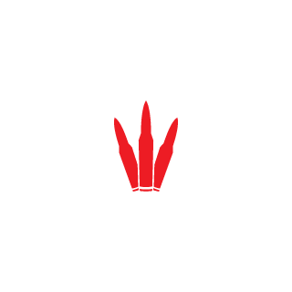 Lv71310's emblem