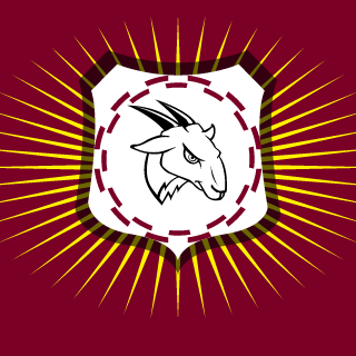 AmAzInG_RuStMeN4's emblem