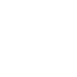 Beelzaboot5549's emblem
