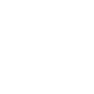SLIMEBALLx's emblem