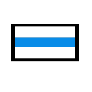 NikitaQAZ12's emblem