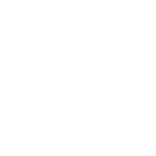 real_zsj's emblem