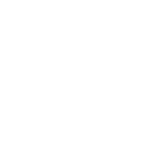 antagoniser64's emblem
