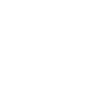 EXE_DEV's emblem