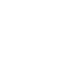 Schtyger's emblem