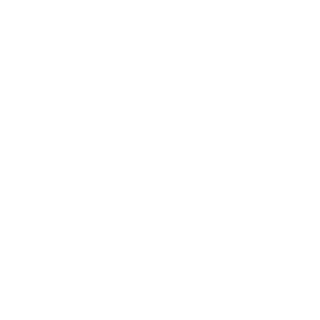 llJ-13's emblem