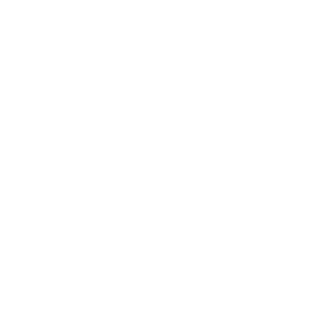 LowestTech's emblem