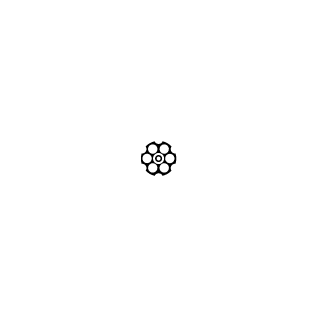 RainerWahnsinn07's emblem