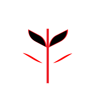 M1rrorM4sk's emblem