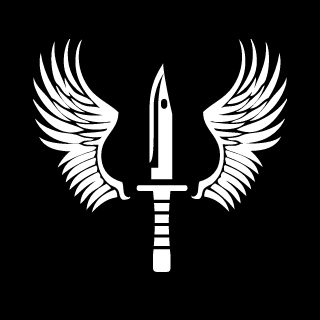 RlCOCHETTT's emblem