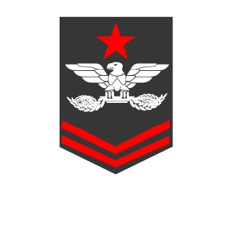 mirrorseek's emblem