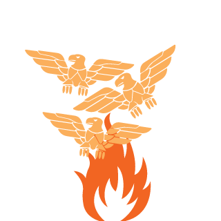 luvchickenstrips's emblem