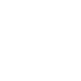 An4kr0nics's emblem