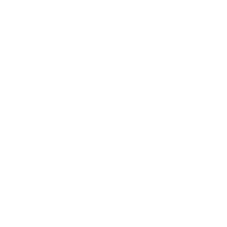 antonpr3's emblem