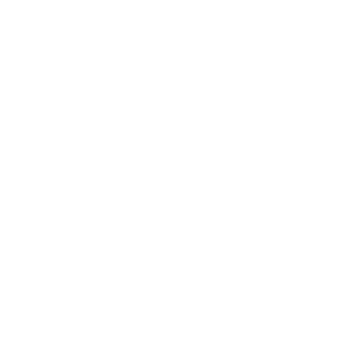 Solovey_n4k's emblem