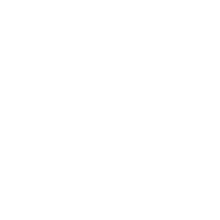 Dud45's emblem